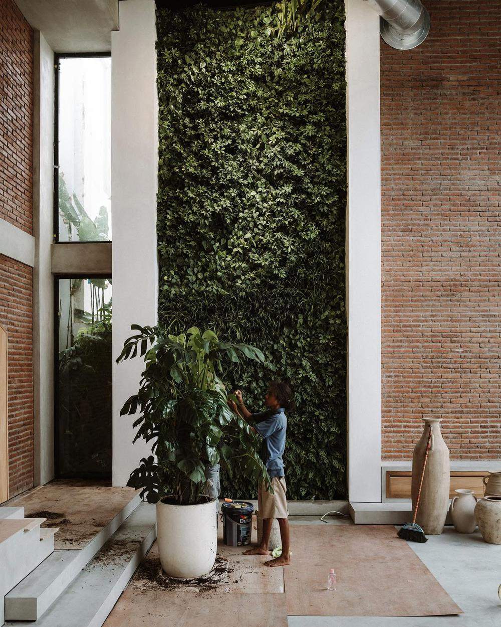 Portfolio — patio con jardín vertical